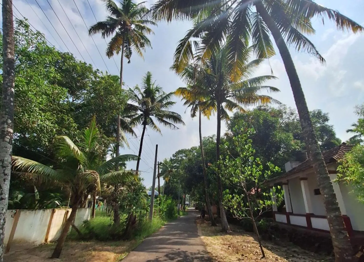 Affittacamere Marari Beach Bamboo Rooms Acroyogathai Alappuzha India