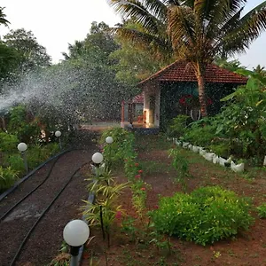 Nettle Trees Farm Farm stay