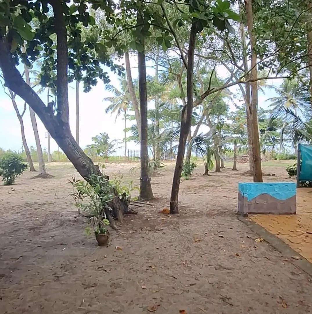 Marari Beach Bamboo Rooms Acroyogathai Alappuzha