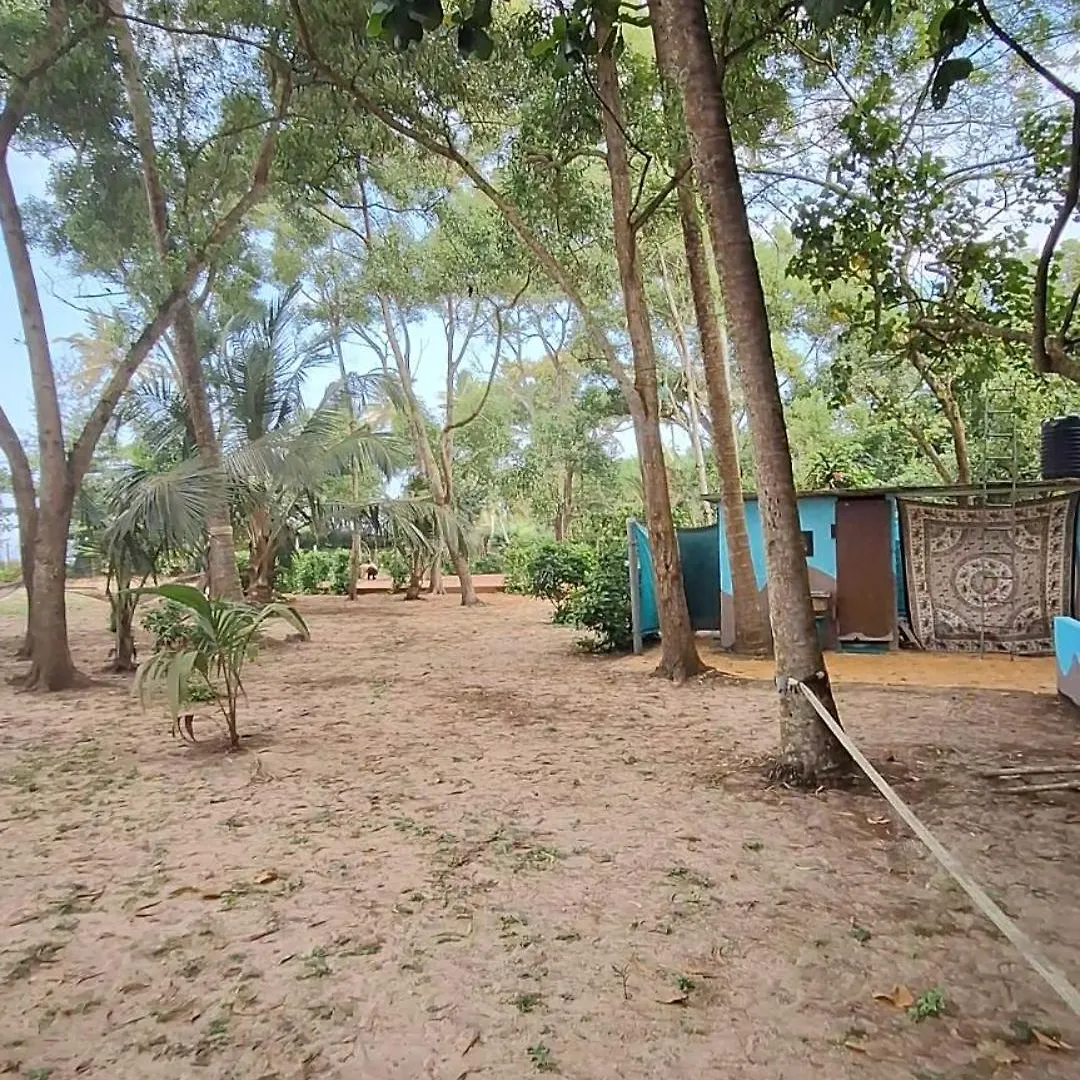 Guest house Marari Beach Bamboo Rooms Acroyogathai Alappuzha