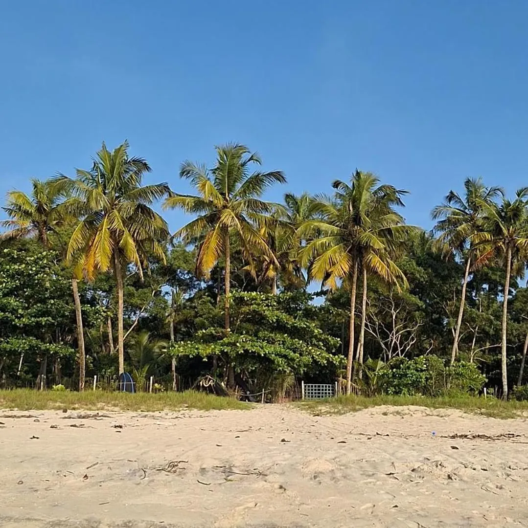 Marari Beach Bamboo Rooms Acroyogathai Alappuzha